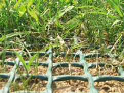 Rasenschutzgitter aus Kunststoff T