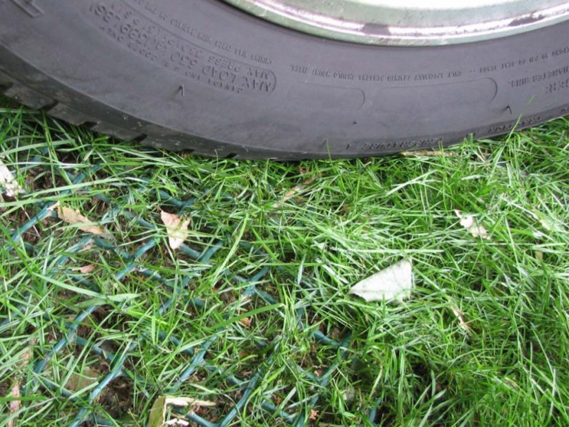 Rasenschutzgitter aus Kunststoff T - Größe: 2 x 20 m