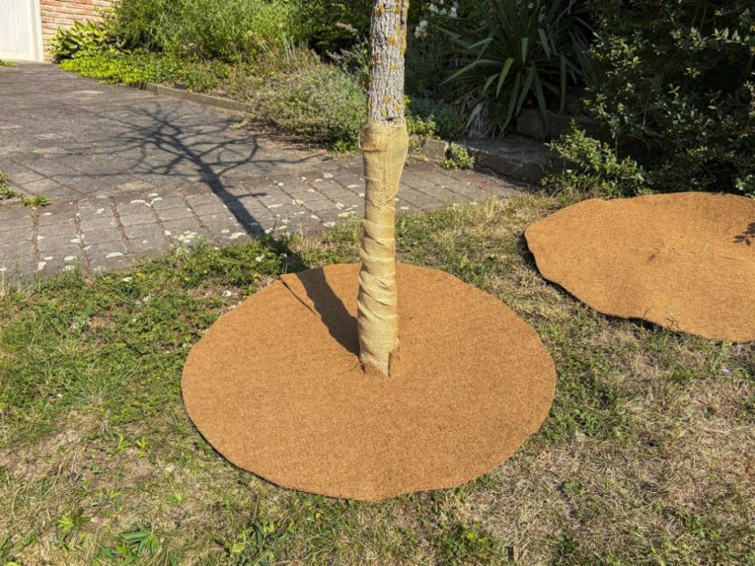 Mulčovací kokosový disk - Varianta: ø 25 cm