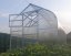 Zahradní skleník z polykarbonátu Standard - Varianta: 4 x 2,5 m