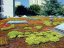 Nopová fólia Maxistud T20 Garden - Rozmer: 20 x 2 m