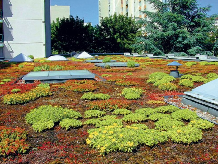 Nopová fólia Maxistud T20 Garden - Rozmer: 20 x 2 m