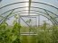 Záhradný skleník z polykarbonátu Classic - Varianta: Classic, Rozmer: 8 x 3 m