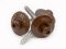 Șurub din inox V2A - Culoare: maro, Dimensiune: 4,5 x 45 mm, Ambalaj (buc.): 20