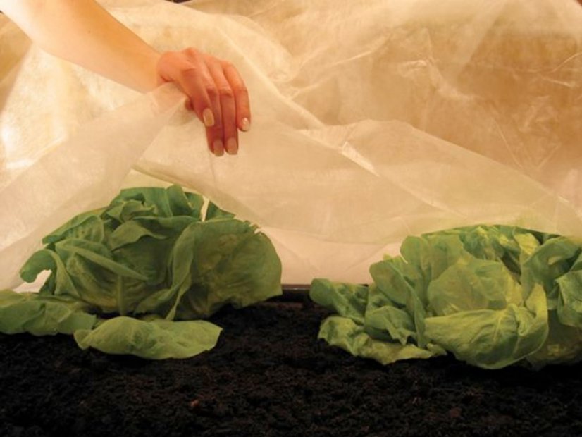 Niet-geweven mulchdoek Coverfol C17 - Afmeting: 10 x 1,6 m