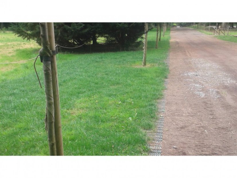 Rete salvaprato in plastica GR - Variante: 1400 g/m², Dimensione: 2 x 5 m