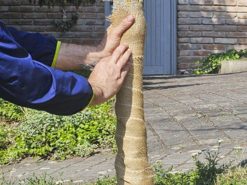 Envoltura natural de yute - Dimensión: 0,15 x 25 m