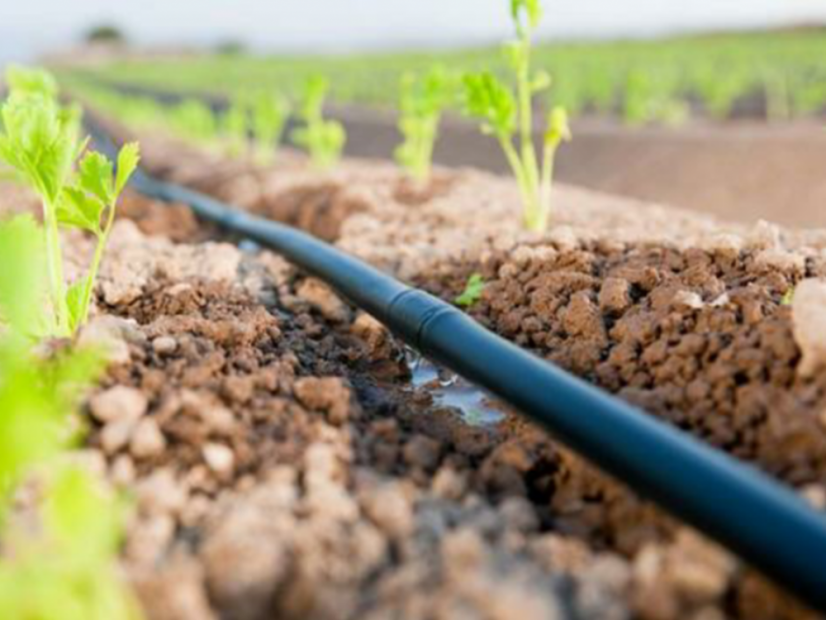 Irrigazione a goccia per serre Drop - Dimensione: 2 m