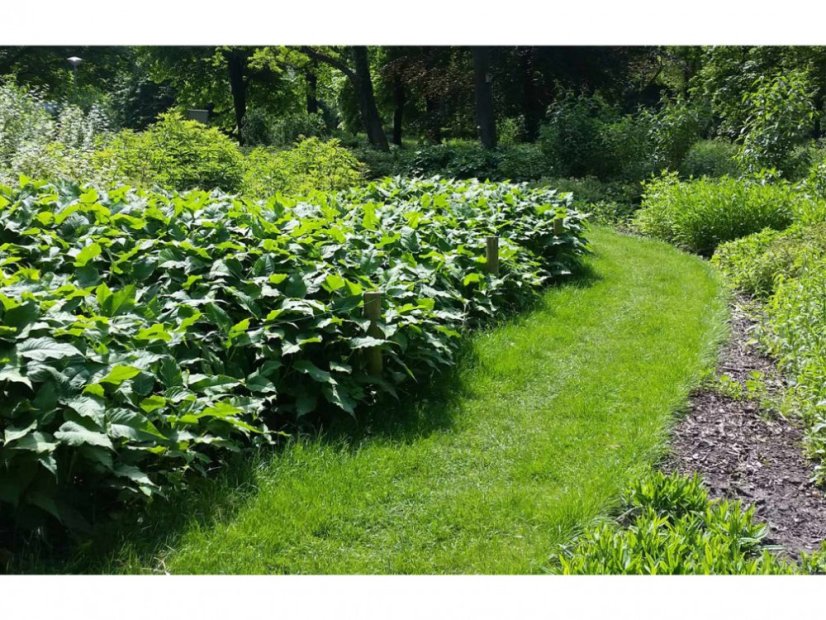 Rete salvaprato in plastica GR - Variante: 1400 g/m², Dimensione: 2 x 5 m