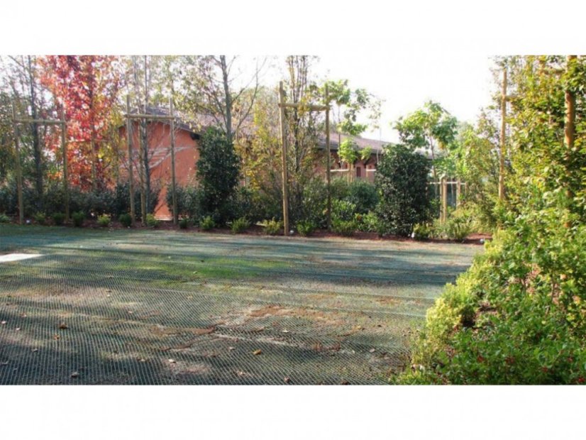 Grasversterkingsmat T - Afmeting: 2 x 5 m