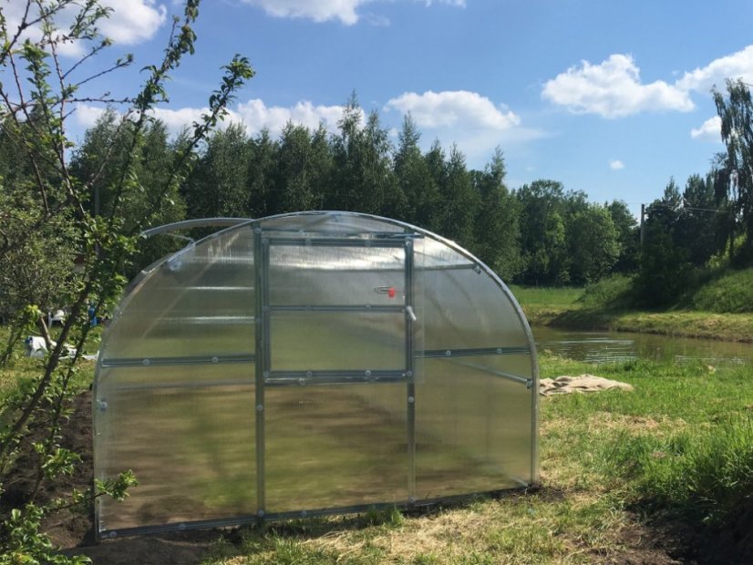 Gewächshaus aus Polycarbonat Baltik - Variante: 4 mm, Größe: 2 x 3 m