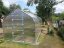 Tuinserre van polycarbonaat Standard - Variant: 4 mm, Afmeting: 2 x 2,5 m