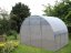 Zahradní skleník z polykarbonátu Easy - Varianta: Easy PROFI, Rozměr: 8 x 3 m