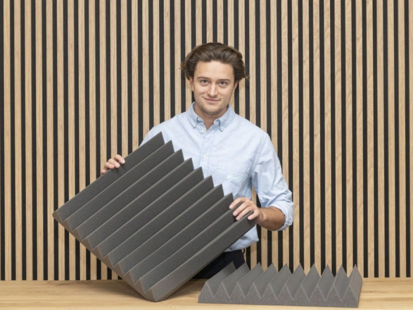 Spumă acustică V-profil in-hand