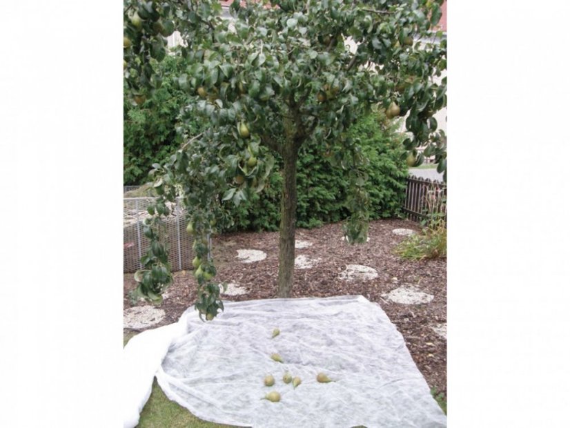 Niet-geweven mulchdoek Coverfol C17 - Afmeting: 10 x 1,6 m