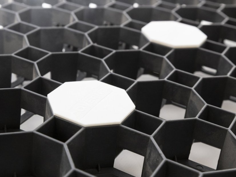 Marqueur de stationnement Covergrid Profi - Taille: 60 mm