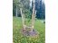 Vyvazovací dřevěný kůl ke stromům - Rozměr: 6 x 125 cm