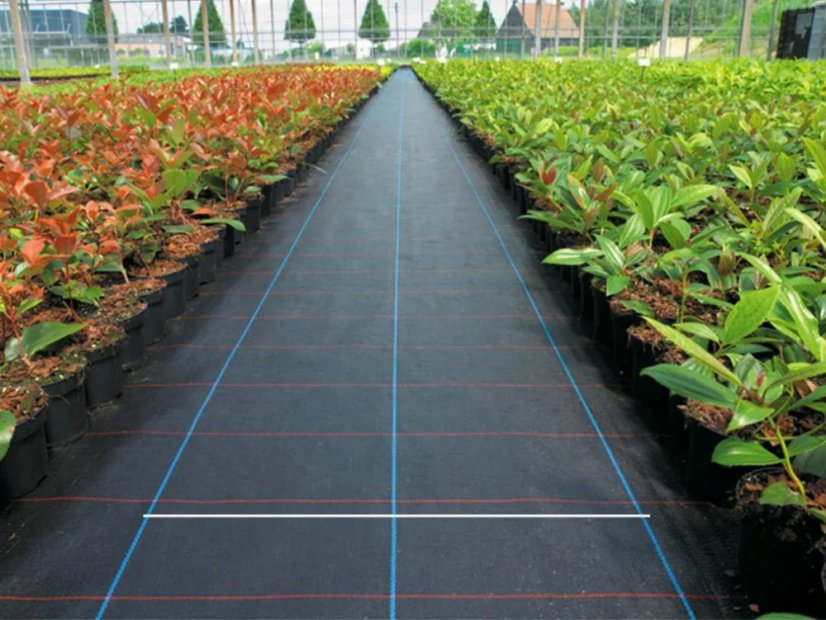 Malla antihierbas tejida - Dimensión: 2 x 25 m