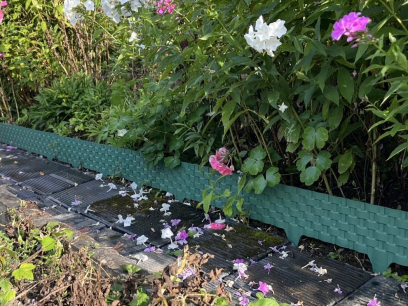 Covergarden Rattan kerti szegély - Szín: zöld