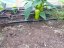 Irrigazione a goccia per serre Drop - Dimensione: 2 m