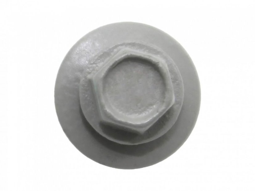 RAL 9006